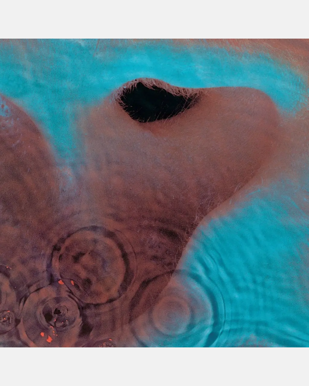 Pink Floyd - Meddle – Sound Records Pink Floyd - Meddle – Sound Records