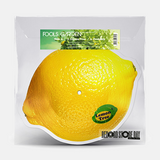 Fools Garden - Lemon Tree