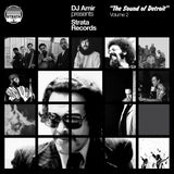 DJ Amir - DJ Amir presents Strata Records: The Sound of Detroit Vol. 2