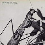 Courtney Barnett - Creature of Habit