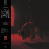 Knocked Loose - A Tear In The Fabric of Life Clear (EP)