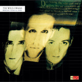The Wild Swans - Bringing Home The Ashes