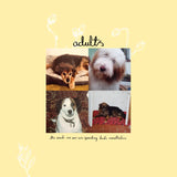 Adults - The Seeds We Sow Are Sprouting Buds Nonetheless