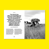 Weird Walk Zine Cromlech
