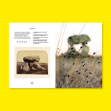 Weird Walk Zine Cromlech