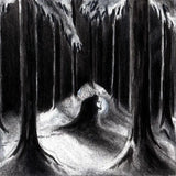 Havukruunu - Havulinnaan