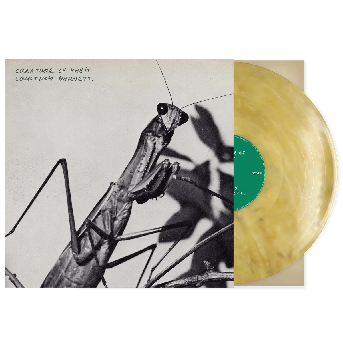 Courtney Barnett - Creature of Habit