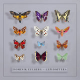 Dominik Eulberg - Lepidoptera