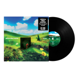 Rainbow Kitten Surprise - bones