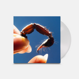 Squid - Cowards