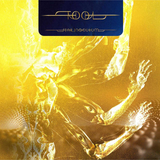 Tool - Fear Inoculum