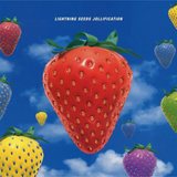 Lightning Seeds - Jollification (National Album Day 2024)