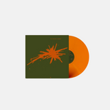 The Wedding Present - Bizarro (National Album Day 2024)