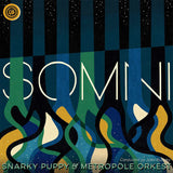Snarky Puppy - Somni