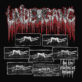 Undergang - De Syv Stadier af Fordærv (EP)