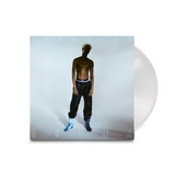 Danny Brown - Stardust