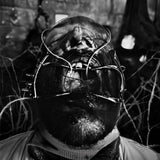 LARCɆNIA ROɆ - Extraction
