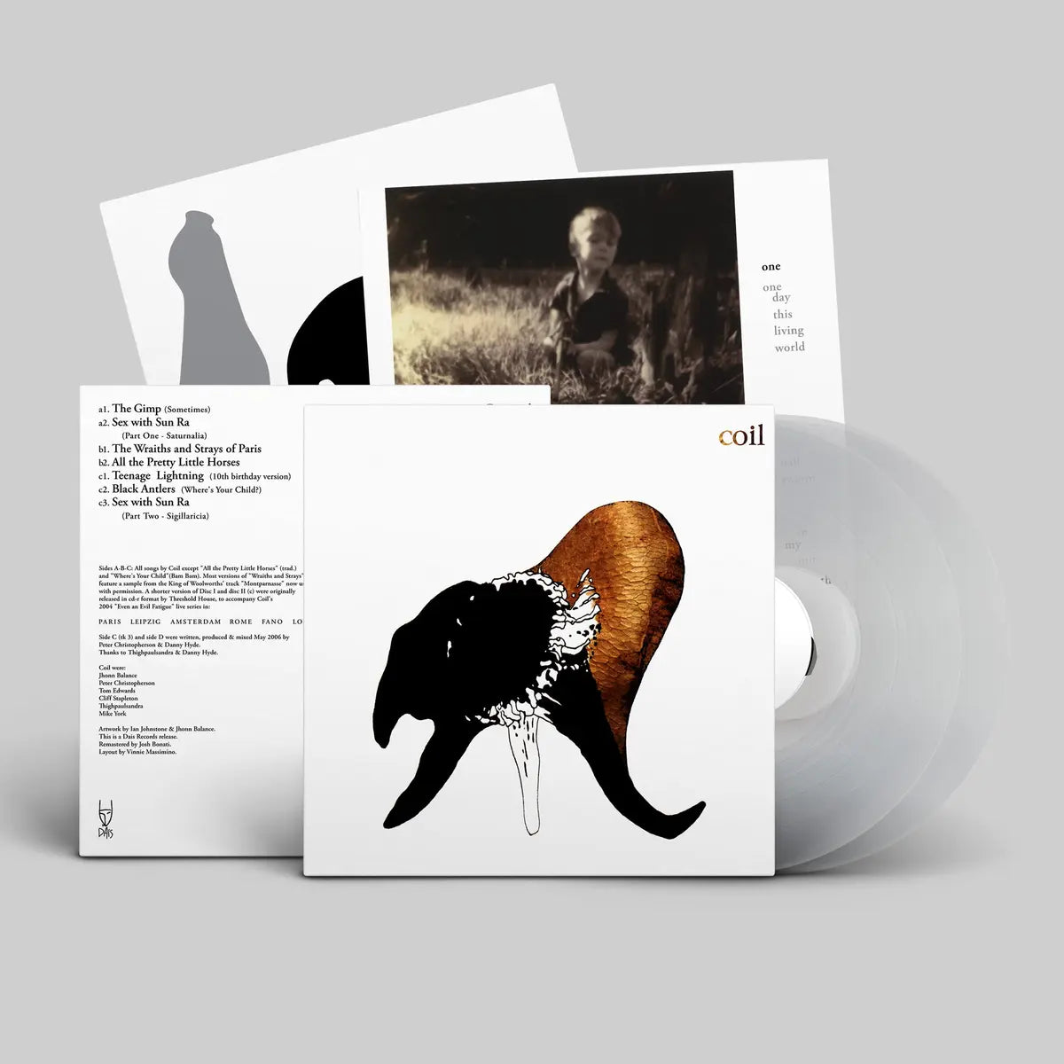 Coil - Black Antlers
