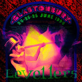The Levellers - Glastonbury 94