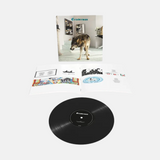 Grinderman - Grinderman 2